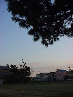 二人が稲作の夢を語っている作業小屋から見えた雨上がり夕日の美しい至福の時間。