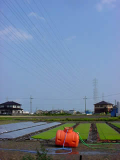 主のいない田圃。いつもより多めの苗づくり。今日は午後からようやく快晴。しかし風強し。