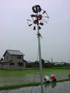 節句から５３日目、梅雨空ながら降雨なし、ただひたすら田圃を見つめるのみ。
