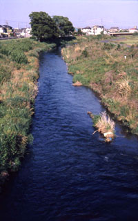 栃山川の流れ。大井川から取水され、この地域の用水路として、なくてはならない命の源を運ぶインフラである。