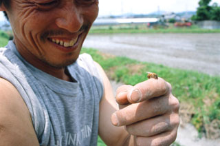 この男、稲オタク。松下明弘。