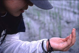 手のひらの宇宙。