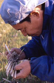 たぶん本人は、いつも自然体。