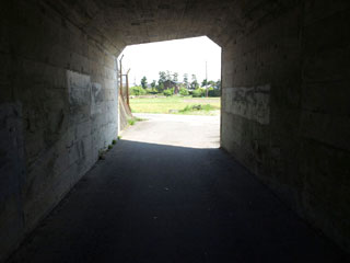 東海道新幹線に分断された変形の田圃。じつはこの田圃のコンディションはかなりいい。毎年早生系の品種を栽培している。昨年は巨大胚芽米カミアカリを栽培した。稲荷神社の社を通ってトンネルの向こう側にその田圃はある。神社で手を合わせ、トンネルを抜けるという過程が、この田圃に行くことのアプローチとして何か特別な感じがする。そういうところが好きなのだ。興味のない人が見ればごく有り触れた退屈な風景なのかもしれないが。