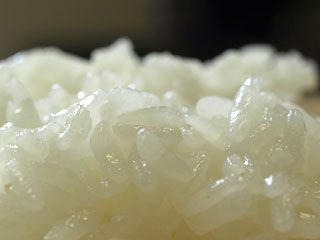 あまりにも美しいので、小生もカメラを引っぱり出してパチリ。ファインダー越しに見えるご飯粒は、外硬内軟。まさに炊飯の理想の姿。表面の光沢がその質感を物語っている。栽培時の仕上がりはけっして良かったとは言えなかった19年産松下×安米ヒノヒカリだったが、丁寧に浸漬し炊飯土鍋でしっかり火を入れたら、持ち味の良さが引き立ちマイナス部分をすべて払拭した。これだから土鍋は止められない。