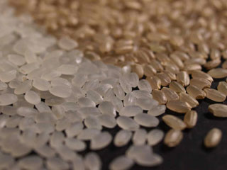 松下スタイルの有機農業を代表する米として「山田錦」はあまりにも有名だが、それと同じくらいにこの「あさひの夢」も松下スタイルを象徴する品種として評価したい。大粒でやや硬め系、かつて明治時代にあった優良品種「旭」直系の中生品種。その幻を現代に甦らせたような風合い。奥から湧いてくる甘みと風味。白米で良し、玄米でも良し。けっして派手ではない、またそこが良い。20年産は栽培期間、ことに登熟期間（受粉〜収穫）の天候がほぼパーフェクト。こういう米こそがアンコメ米作りプロジェクトが目指す米の姿だと思ってもらいたい。ようやくこの日がやって来た。