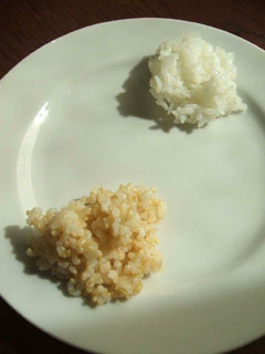 昼は毎日こんな風にしてご飯の味を聞く。今日は「松下×安米ヒノヒカリ」。届いたばかりのその風味風合いを白米、玄米で確認する。事務所にある円卓で私を含む5人囲んで「ああだ・・・こうだ・・・」と言いながら試食していく。いつの間にか新人スタッフ2人もすっかり味を取れるようになり最近では生意気を言うまでになった。毎日こうやって食べて会話することで、味や香りが織り成す風味風合い、その抽象的な世界観を脳みその中の「ゴハン脳」というフォルダーに感じたままにどんどん放り込む。それは時として文字という光に変換されたものや、言