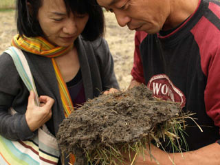 刈り株を引き抜いて土の手触りや匂い、根の張り具合を見入る。そこから、そこに住む数多微生物の種類やその役割、稲に及ぼす影響を類推していく。Oさん曰く、「松下さんの米にはパワーを感じるのです。その米をどんな人が、どんな所で栽培しているのかが知りたかったんです・・・。」こんな風に言われるのが松下も私もなにより嬉しい。Oさんがその答えを見つけたのかどうかは知る由もないが、こうやって訪れてくれる人達にとって、すっかり静かになった田圃さえ、想像と探求の扉は閉じられることはない。逆にそこに対象となる稲がないことが、より想像力を掻き立ててくれるのかもしれない。こういう人達の訪問が、僕らの英気を養う心の元肥となるのだ。