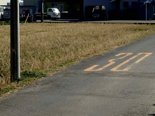 松下の田圃の中でもっとも退屈に見える田圃である。しかし見た目で判断してはいけない。じつは9年前初めて松下の田圃へ行った時、代掻き作業中の松下を探したあげく、この田圃で見つけることができた思い出の田圃である。初めてこの田圃を見て、こう思った。「こんなところで有機栽培してんのかよ・・・」。たぶん多くの人がそう思うだろう。ここは、黒澤映画「夢」に出てくるような水車村ではない。あえて言うならその対極である。空気が清らかでも、水清らかでもない。作り手は作務衣も着ていないし、髭も生やしていない。多くの人が思う勝手な有機農業のイメージを松下はぶっ壊していた。ただ稲の生命力だけを彼は信じていた。その対比が今もって面白くてしかたがない。