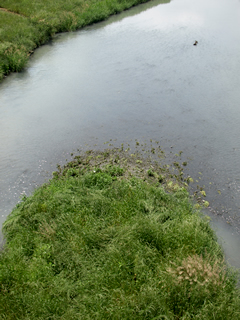 木の子橋から栃山川を見る。この流れには何か縁がありそうだ。上流にはアンコメ米作りプロジェクトの松下の田圃がある。たぶん興味のない人には単なる水の流れにしか見えないのかもしれない。けっして清流と呼ばれるような美しい水面ではない。目を覆いたくなる場所もある。しかしこの流れには、この土地に生きた数多の農人の歴史と日常、そして今がある。そういうイマジネーションをすると、名もないこの流れが愛おしくなる。それは、私もその末席に加えてもらったからだろうか。