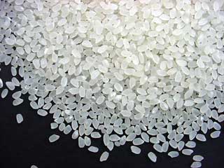 松下×安米ヒノヒカリの精白米である。松下くんのお米は是非、玄米か分づき米で食べていただきたいものだが、やはり銀シャリもいい。銀シャリに変身する前の精白米の造形も美しいではないか。