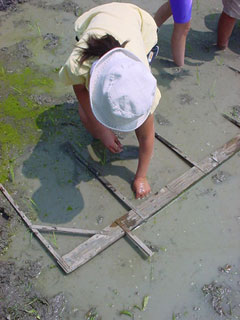 ※ノイジーとは・・・ このコンテンツ２００４のテーマは「この風味を作るもの」松下くんの手掛けるお米の持つ独自の風味の謎を探るキーワードです。くわしくは４月２５日号「この風味を作るものは何か？の巻」をごらんください。 「人達の手」である。松下くんの田圃にはこのプロジェクトに関わる人達以外にも大勢の人達が関心を持ち田圃を訪れる。植物は声をかけられると綺麗な花を咲かせたりするが、稲もまた同様である。松下くん本人はもとより、多くの人達が訪れ稲に声をかけ、関わることで稲は良い米になる力を備えるはずだ。これがまたあの風味のエッセンスとなるのだろう。