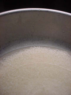 ※ノイジーとは・・・ このコンテンツ２００４のテーマは「この風味を作るもの」松下くんの手掛けるお米の持つ独自の風味の謎を探るキーワードです。くわしくは４月２５日号「この風味を作るものは何か？の巻」をごらんください。 「米研ぎ」である。近年、死語のようでもあるこの数分の行為こそ米と対話できる唯一無二の時間であると僕は思う。サッと水を差しサッと流す。米と米を擦り合わせるように掌（たなごごろ）を使ってすばやく且つ強くなく優しくない力加減で研ぐ。この時、物云わぬ米がほんの少しだけその重い口を開く。その米がどこで育ちどんな生い立ちを辿ったのか。またどうしてもらいたかを・・・。そんな対話を終え研ぎあがった米は澄んだ水の中でゆっくりと乳白に変化していく。米は幾人もの人の手を経てこうして米研ぎの人の手によってご飯になる。米に関わることとなるすべての事象がその米の味のエッセンスとなる。あなたの手塩にかけた米研ぎも米の味の重要なエッセンスになるのだ。